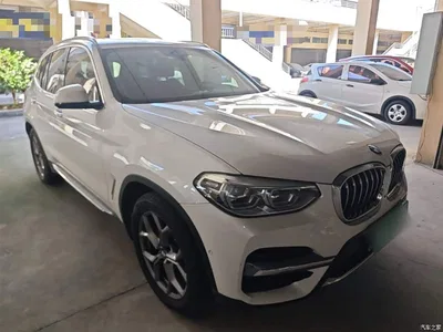 2021 BMW X3 xDrive28i Luxury Package, фото 4, лот 10462119