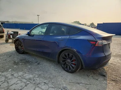 2024 TESLA MODEL Y, фото 2, лот 10852597