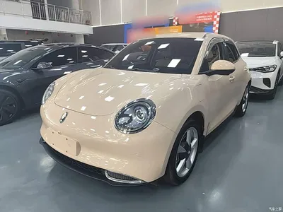 2023 Ora Good Cat 401km Standard Range Premium NCM, фото 1, лот 10387513