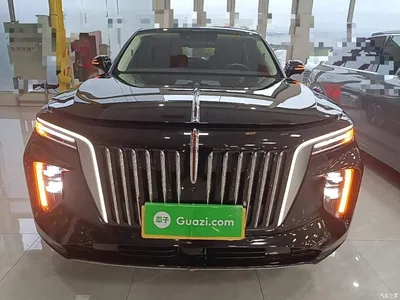 2022 Hongqi E-HS9 690km Qi Xiang Edition (6-seater), фото 3, лот 10289424
