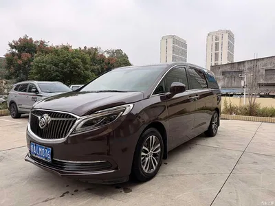 2017 Buick GL8 ES 28T Luxury China V, фото 1, лот 10257414
