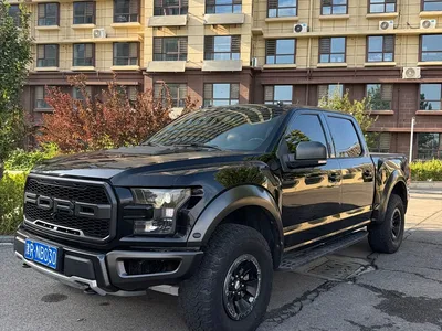 2018 Ford F-150 Raptor 3.5T Raptor Performance Enhanced Edition, фото 1, лот 10418719