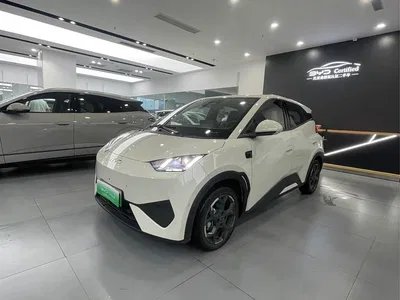 2025 BYD Seagull Smart Driving Edition 405km Flying Edition, фото 1, лот 11512154