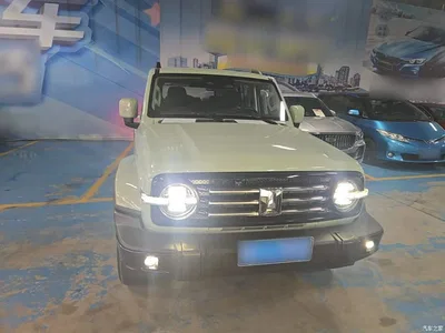 2021 Tank 300 Urban Edition 2.0T Stylish, фото 3, лот 10345457