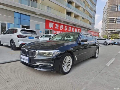 2019 BMW 5 Series 530Li Leading Luxury Package, фото 1, лот 11248598
