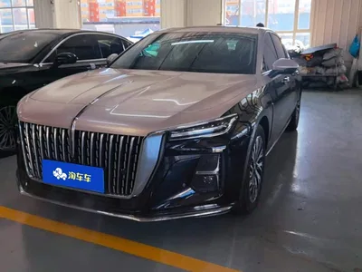 2023 Hongqi H5 2.0T Auto Smart Connect Flag Comfort, фото 1, лот 11101841