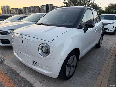 2021 Ora Black Cat 301km Basic Model, фото 1, лот 10330990