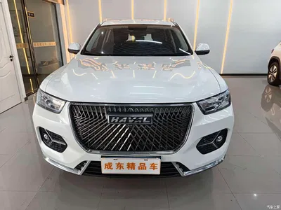 2021 Haval H6 National Trend Edition 1.5T Automatic Urban Edition, фото 2, лот 10298436