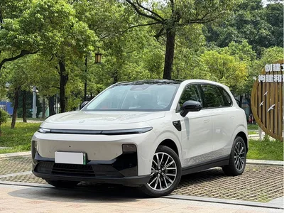 2025 Leapmotor B10 510 Joy Edition, фото 1, лот 10317496