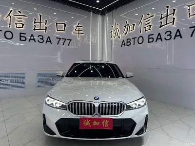 2023 BMW 3 Series 320Li M Sport Package, фото 2, лот 11341287
