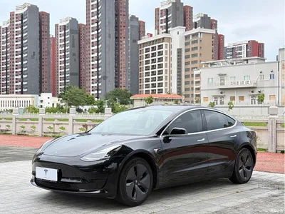 2019 Tesla Model 3 (Import) Standard Range RWD Upgraded Edition, фото 1, лот 10366645