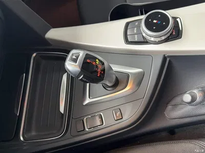 2015 BMW 3 Series 320Li Super Joy Fashion, фото 3, лот 10458266