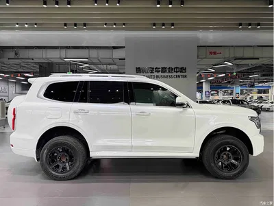 2023 Tank 500 EV Hi4-T, фото 4, лот 10666544