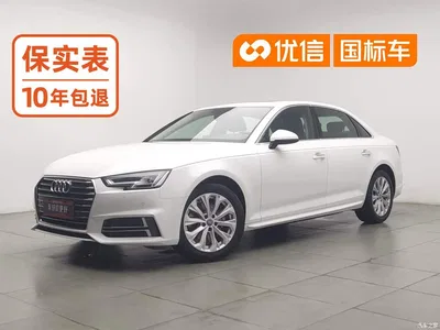 2019 Audi A4L 40 TFSI Progressive (China VI), фото 1, лот 11199921