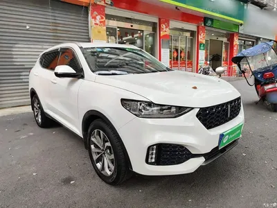 2018 WEY VV6 2.0T 2WD Super Luxury China V, фото 4, лот 10452472