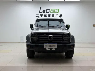 2023 Tank 300 Off-Road Edition 2.0T Conqueror, фото 1, лот 10344878