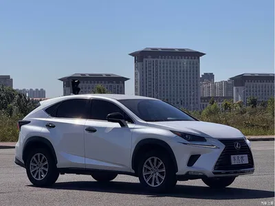2020 Lexus NX 200 FWD Sharp Edition China V, фото 3, лот 10436571