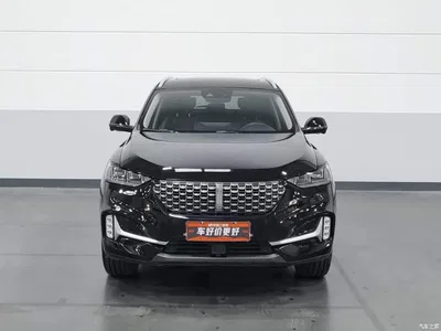 2021 WEY VV6 2.0T 2WD Smart Protection+, фото 3, лот 10955719