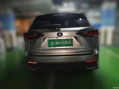 2020 Lexus NX 200 AWD F Sport China VI, фото 3, лот 10316338