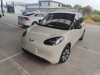 2024 Wuling Motors Wuling Bingo 333km Smart Connect Edition, фото 1, лот 10599140