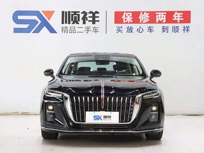 2023 Hongqi H5 2.0T Auto Smart Connect Flag Comfort, фото 2, лот 10286471