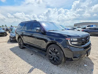 2025 FORD EXPEDITION PLATINUM, фото 4, лот 10518749