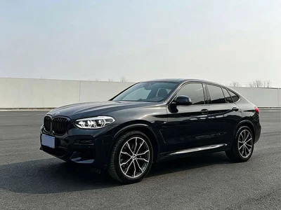 2021 BMW X4 xDrive 30i M Sport Glorious Night Package, фото 3, лот 10477090