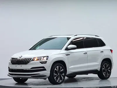 2023 Škoda Karoq TSI280 Luxury Edition, фото 2, лот 10348487