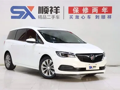 2019 Buick GL6, фото 3, лот 10243424