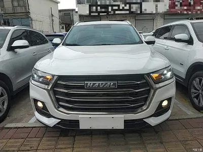2021 Haval H6 Model National Trend Edition 1.5T Auto Champion, фото 3, лот 10285355