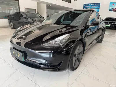 2022 Tesla Model 3 Model Rear-Wheel Drive Version, фото 1, лот 11087188