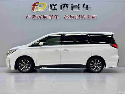 2021 GAC Trumpchi Trumpchi M8 Leading Show Series 390T Premium Edition, фото 2, лот 10414161