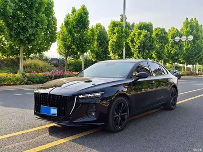 2025 Hongqi H5 2.0T Automatic Mystic Shadow, фото 1, лот 10288025