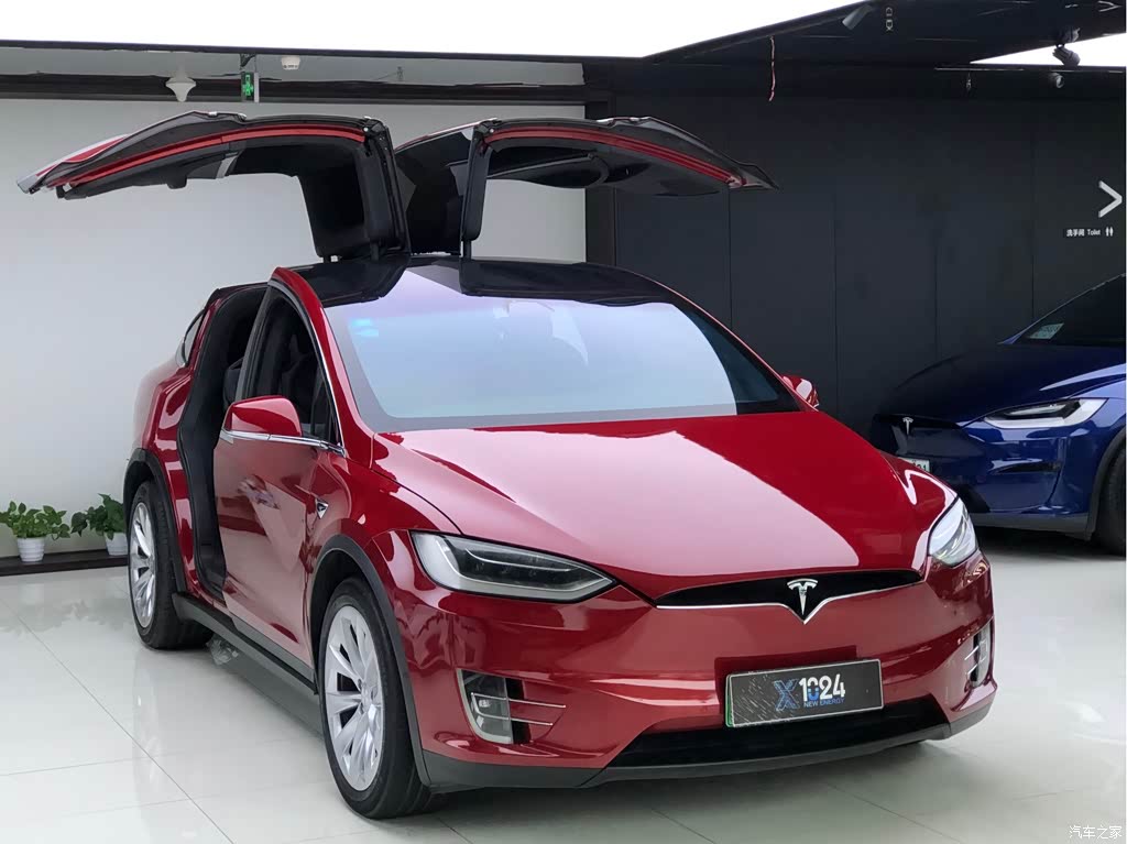 2019 Tesla Model X Long Range Version, фото 3, лот 11097810
