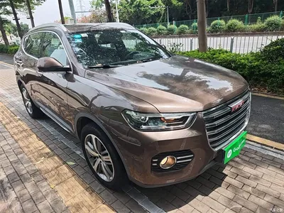 2017 Haval H6 Red Label 2.0T Automatic 2WD Premium, фото 4, лот 10287137