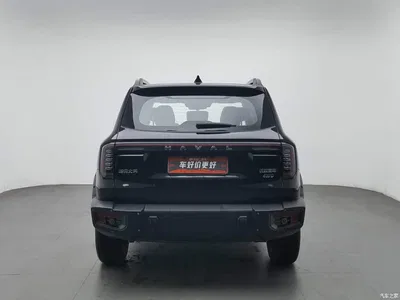 2024 Haval Big Dog 2.0T DCT Chinese Rural Dog Edition, фото 4, лот 11219176