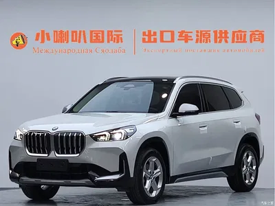 2023 BMW X1 sDrive20Li X Design Package, фото 1, лот 10466927