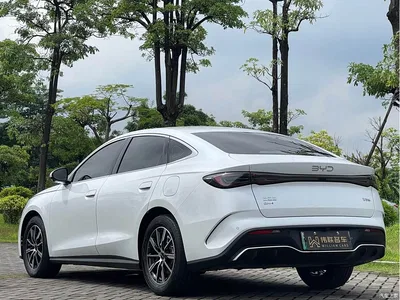 2024 BYD Seal 06 New Energy DM-i 80KM Luxury, фото 4, лот 10274033