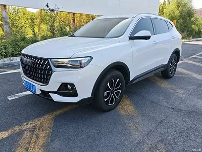 2023 Haval H6 National Trend Edition 1.5T Automatic Urban, фото 1, лот 10281488