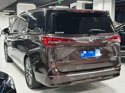 2021 Buick GL8 ES Landlord 653T Luxury, фото 4, лот 10254832