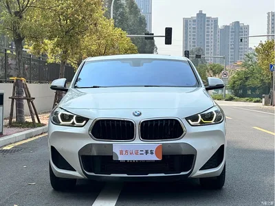 2021 BMW X2 sDrive25i Leading M Sport Package, фото 2, лот 10475598