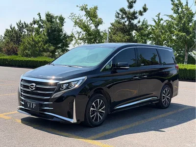 2021 GAC Trumpchi Trumpchi M8 Leading Show Series 390T Premium Edition, фото 3, лот 10419125