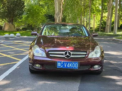 2009 Mercedes-Benz CLS 300, фото 2, лот 10299389