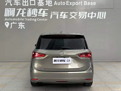2019 Buick GL6, фото 4, лот 10243437