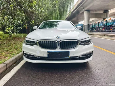 2019 BMW 5 Series 530Li Leading M Sport Package, фото 2, лот 11221516