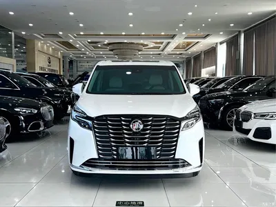 2023 Buick GL8 ES Landmaster Exclusive, фото 3, лот 10838037