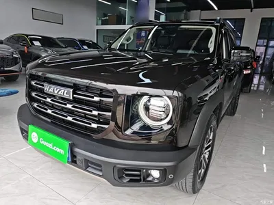 2021 Haval Big Dog 1.5T DCT 2WD Border Collie Edition, фото 2, лот 11188300