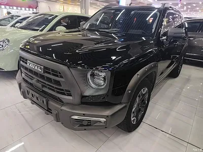 2024 Haval Big Dog 2.0T DCT Chinese Rural Dog Edition, фото 2, лот 10361307