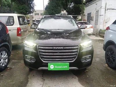 2020 Haval H6 1.5GDIT Automatic Platinum Champion Edition, фото 3, лот 11248211