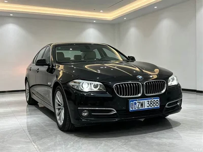2010 BMW 5 Series 523Li Luxury, фото 3, лот 10813075
